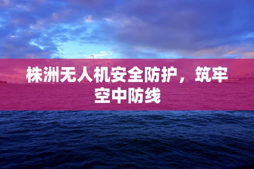 株洲无人机安全防护，筑牢空中防线