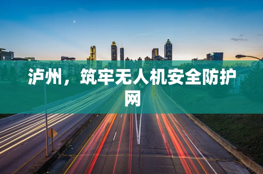 泸州，筑牢无人机安全防护网