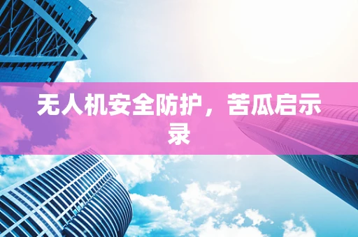 无人机安全防护，苦瓜启示录