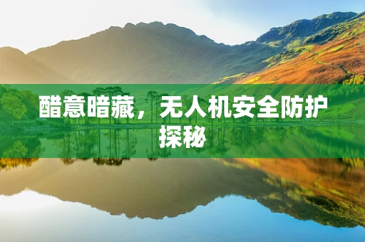 醋意暗藏，无人机安全防护探秘