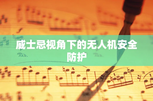 威士忌视角下的无人机安全防护