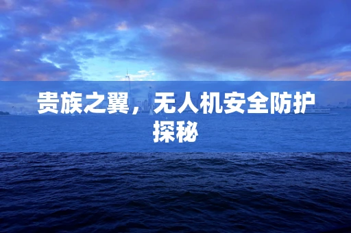 贵族之翼，无人机安全防护探秘
