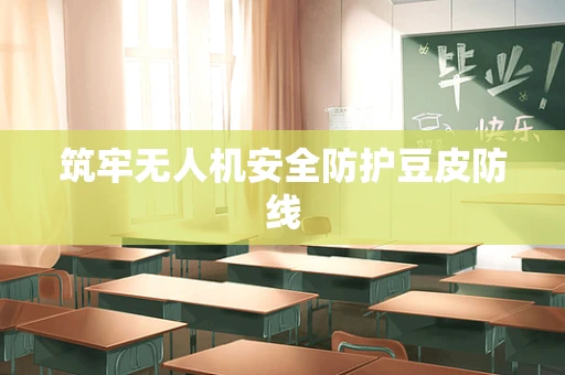 筑牢无人机安全防护豆皮防线