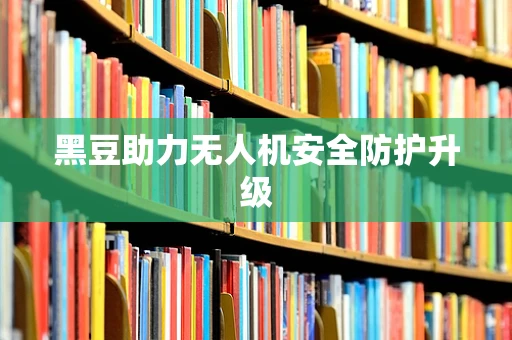 黑豆助力无人机安全防护升级