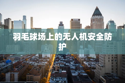 羽毛球场上的无人机安全防护