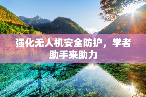 强化无人机安全防护，学者助手来助力