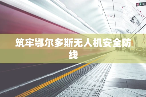 筑牢鄂尔多斯无人机安全防线