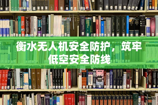 衡水无人机安全防护，筑牢低空安全防线