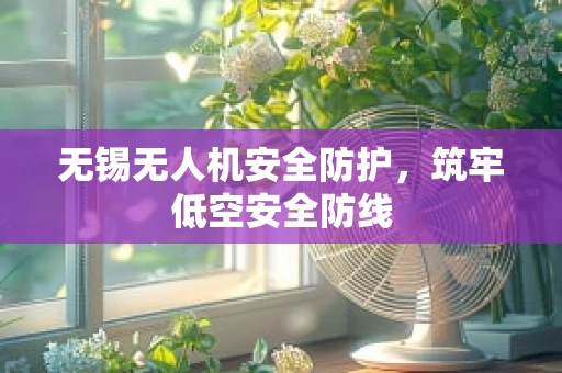 无锡无人机安全防护，筑牢低空安全防线