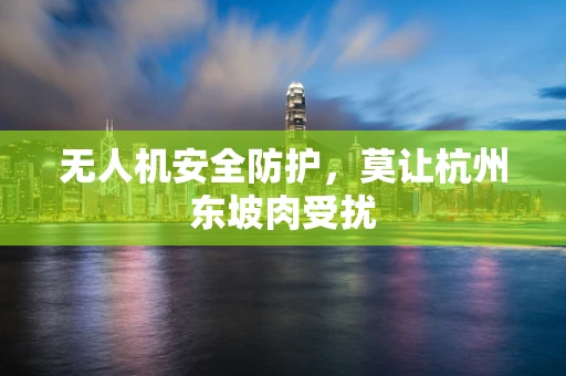 无人机安全防护，莫让杭州东坡肉受扰