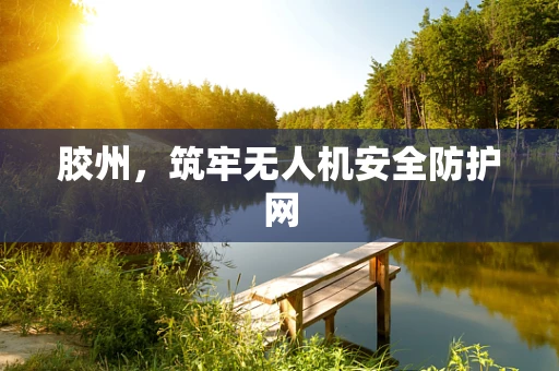 胶州，筑牢无人机安全防护网