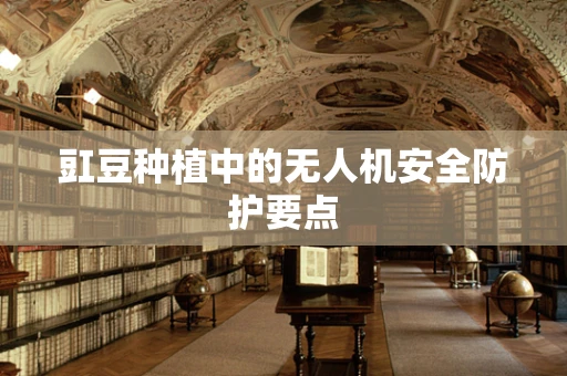 豇豆种植中的无人机安全防护要点