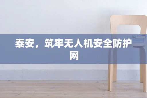 泰安，筑牢无人机安全防护网