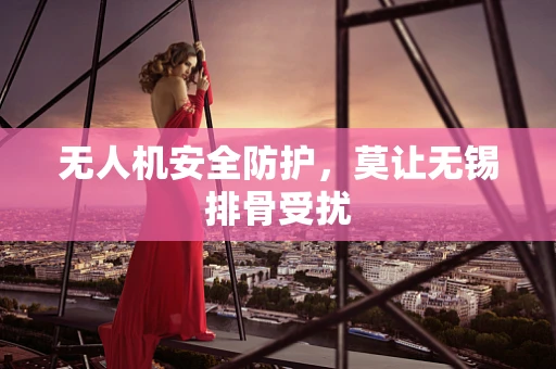无人机安全防护，莫让无锡排骨受扰
