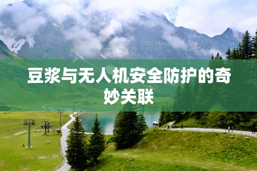 豆浆与无人机安全防护的奇妙关联