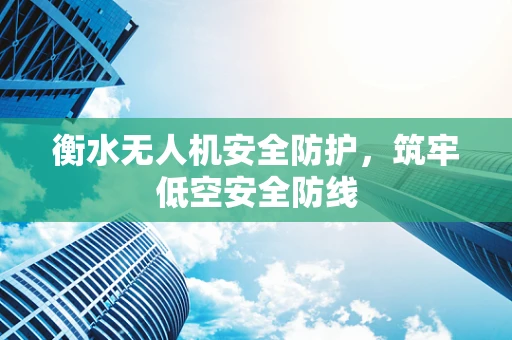 衡水无人机安全防护，筑牢低空安全防线