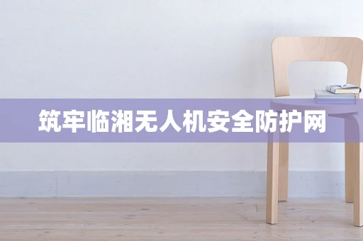 筑牢临湘无人机安全防护网