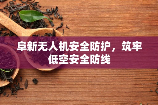 阜新无人机安全防护，筑牢低空安全防线