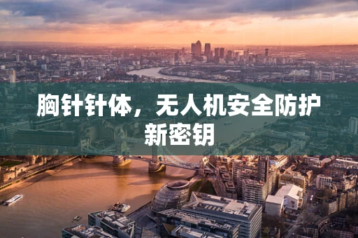 胸针针体，无人机安全防护新密钥