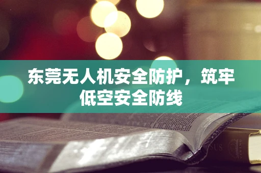 东莞无人机安全防护，筑牢低空安全防线