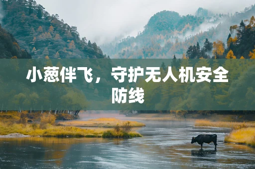小葱伴飞，守护无人机安全防线