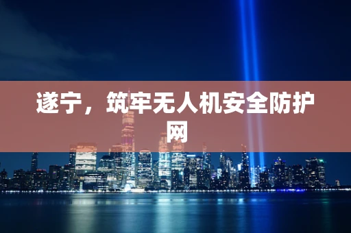 遂宁，筑牢无人机安全防护网