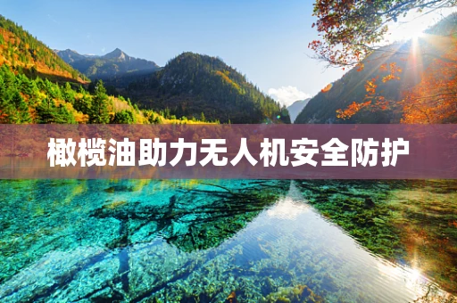 橄榄油助力无人机安全防护