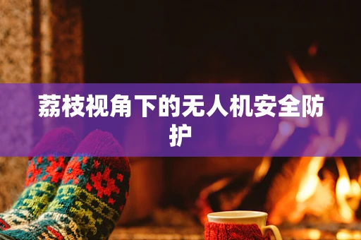 荔枝视角下的无人机安全防护