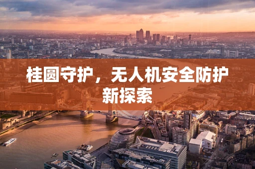 桂圆守护，无人机安全防护新探索