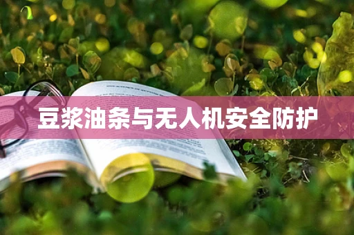 豆浆油条与无人机安全防护
