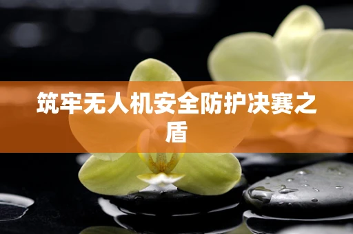 筑牢无人机安全防护决赛之盾