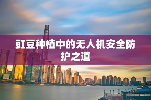 豇豆种植中的无人机安全防护之道