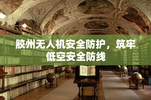 胶州无人机安全防护，筑牢低空安全防线