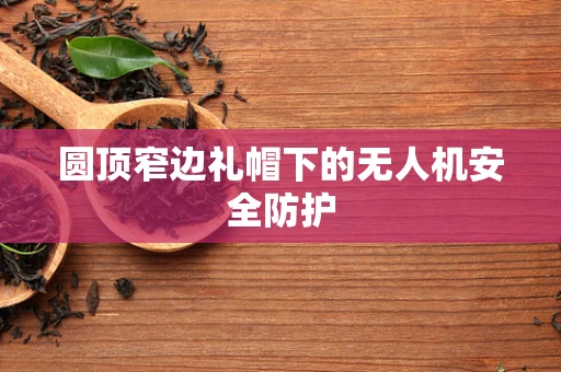 圆顶窄边礼帽下的无人机安全防护