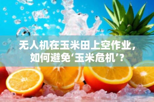 无人机在玉米田上空作业，如何避免‘玉米危机’？