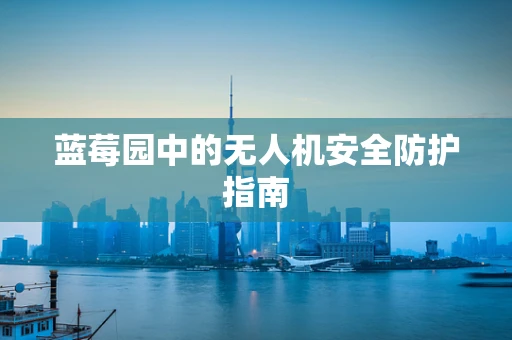 蓝莓园中的无人机安全防护指南