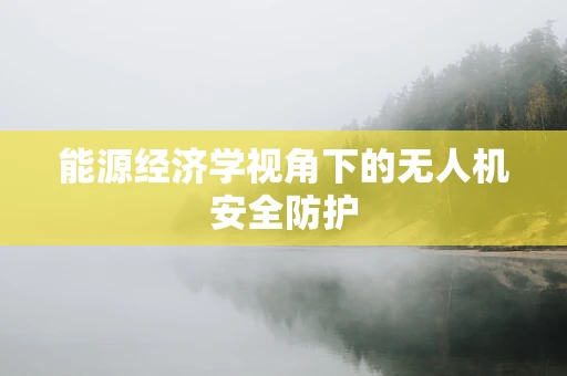 能源经济学视角下的无人机安全防护