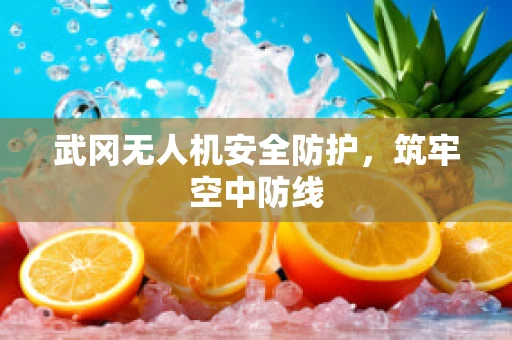 武冈无人机安全防护，筑牢空中防线