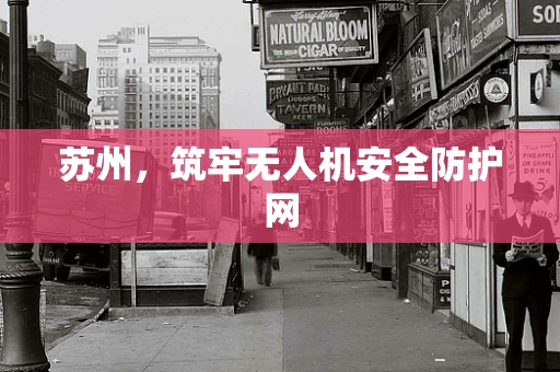 苏州，筑牢无人机安全防护网