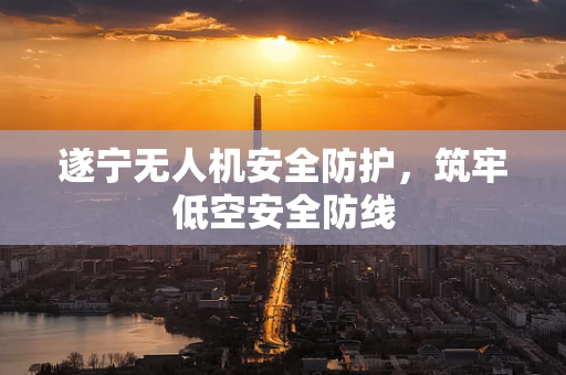 遂宁无人机安全防护，筑牢低空安全防线