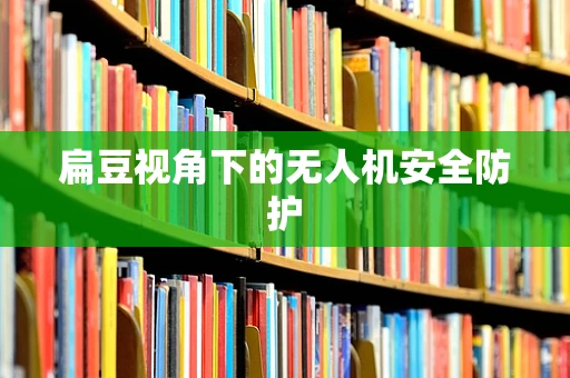 扁豆视角下的无人机安全防护