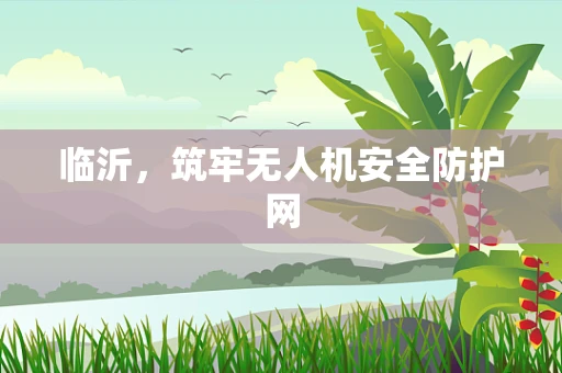 临沂，筑牢无人机安全防护网