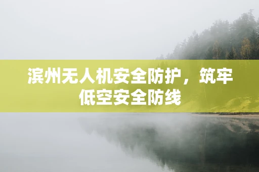 滨州无人机安全防护，筑牢低空安全防线