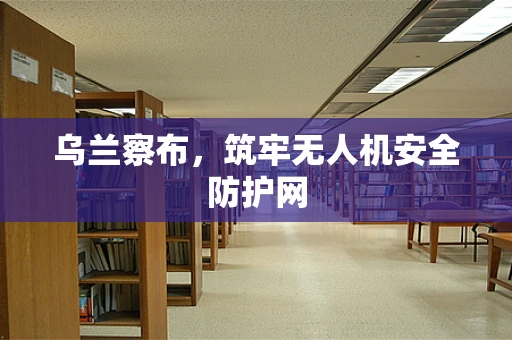 乌兰察布，筑牢无人机安全防护网