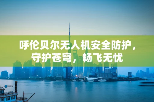 呼伦贝尔无人机安全防护，守护苍穹，畅飞无忧