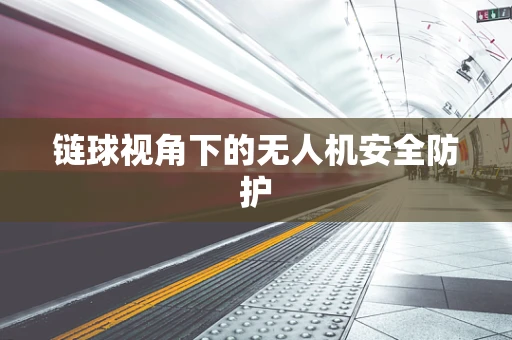 链球视角下的无人机安全防护