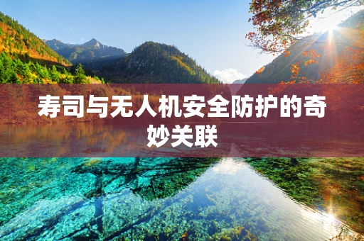 寿司与无人机安全防护的奇妙关联