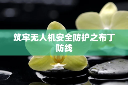 筑牢无人机安全防护之布丁防线