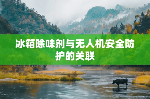 冰箱除味剂与无人机安全防护的关联
