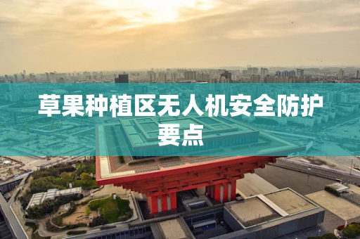 草果种植区无人机安全防护要点